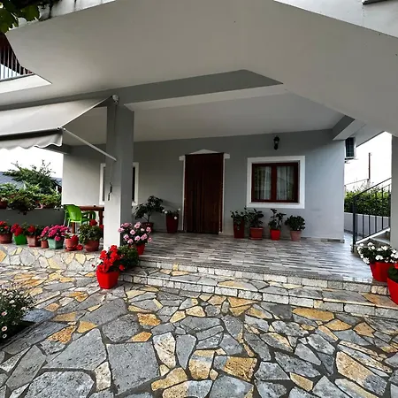 Bledi Lezhë